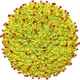 Image for article titled We Finally Know What the Zika Virus Actually Looks Like